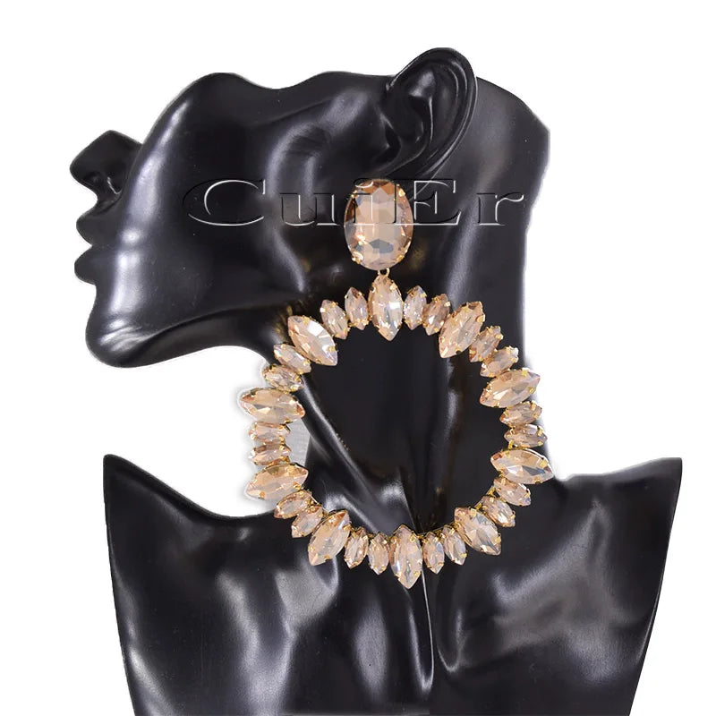 Huge Hoop Rhinestones Drop Earrings